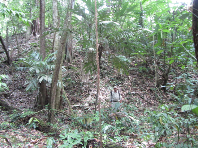 RUIN I TEMPELBYEN MACHAQUILA.JPG